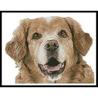 Artecy Cross Stitch Golden Retriever Face 13287 Cross Stitch Chart Hard Copy