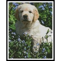 Artecy Cross Stitch Golden Retriever Forget Me Not 10644 Cross Stitch Chart Hard Copy