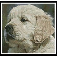 Artecy Cross Stitch Golden Retriever Puppy Mini 10788 Cross Stitch Chart Hard Copy