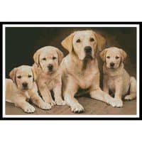Artecy Cross Stitch Golden Retrievers 10175 MGL Cross Stitch Chart Hard Copy