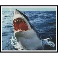Artecy Cross Stitch Great White 10968 Cross Stitch Chart Hard Copy