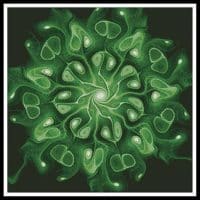 Artecy Cross Stitch Green Abstract Flower 11904 Cross Stitch Chart Hard Copy