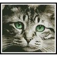 Artecy Cross Stitch Green Eyes Mini 12491 Cross Stitch Chart Hard Copy