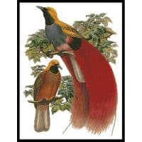 Artecy Cross Stitch Grey Chested Bird of Paradise 11934 Cross Stitch Chart Hard Copy