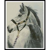 Artecy Cross Stitch Grey Horse 11320 HC Cross Stitch Chart Hard Copy