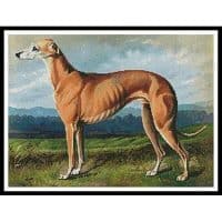 Artecy Cross Stitch Greyhound 10628 Cross Stitch Chart Hard Copy