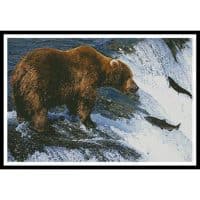 Artecy Cross Stitch Grizzly Bear Salmon Fishing 10869 Cross Stitch Chart Hard Copy