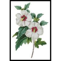 Artecy Cross Stitch Hibiscus Syriacus 10414 Cross Stitch Chart Hard Copy