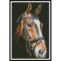Artecy Cross Stitch Horse Close Up 2 14095 Cross Stitch Chart Hard Copy