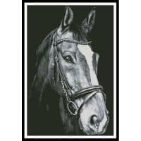 Artecy Cross Stitch Horse Close Up 2 Black and White 14096 Cross Stitch Chart Hard Copy