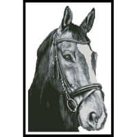 Artecy Cross Stitch Horse Close Up 2 Black and White No Background 14118 Cross Stitch Chart Hard Copy