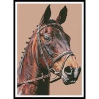 Artecy Cross Stitch Horse Portrait 12965 LAW Cross Stitch Chart Hard Copy