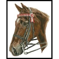 Artecy Cross Stitch Horse Profile 11056 HC Cross Stitch Chart Hard Copy