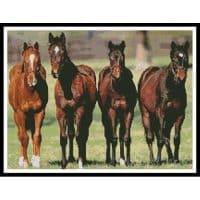 Artecy Cross Stitch Horses 10758 Cross Stitch Chart Hard Copy