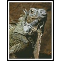 Artecy Cross Stitch Iguana 10703 Cross Stitch Chart Hard Copy