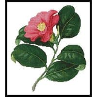 Artecy Cross Stitch Japanese Camellia 10013 Cross Stitch Chart Hard Copy