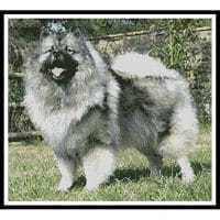 Artecy Cross Stitch Keeshond 11591 Cross Stitch Chart Hard Copy