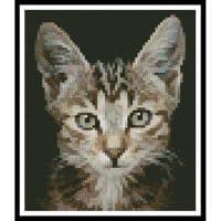 Artecy Cross Stitch Kitten Photo Mini 10133 Cross Stitch Chart Hard Copy