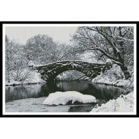 Artecy Cross Stitch Lake and Bridge in Winter 10596 Cross Stitch Chart Hard Copy