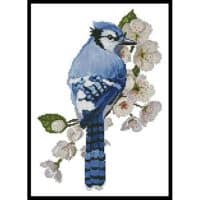 Artecy Cross Stitch Little Blue Jay 12921 CH Cross Stitch Chart Hard Copy