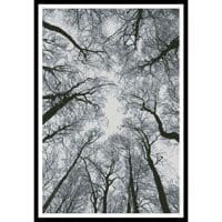 Artecy Cross Stitch Looking up at Winter Trees 10516 Cross Stitch Chart Hard Copy