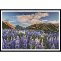 Artecy Cross Stitch Lupins 11674 Cross Stitch Chart Hard Copy