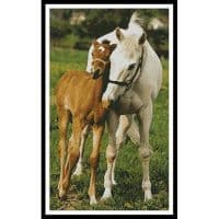 Artecy Cross Stitch Mare and Foal Photo 10597 Cross Stitch Chart Hard Copy