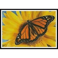 Artecy Cross Stitch Monarch Sunflower 11449 Cross Stitch Chart Hard Copy