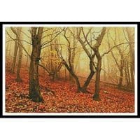 Artecy Cross Stitch Morning Fog in the Palatinate Forest 11584 Cross Stitch Chart Hard Copy