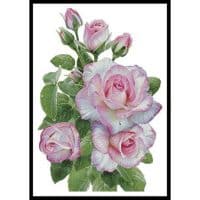Artecy Cross Stitch Morning Roses 12288 INT Cross Stitch Chart Hard Copy