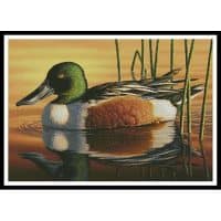 Artecy Cross Stitch Northern Shoveler 12632 KN Cross Stitch Chart Hard Copy