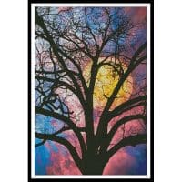 Artecy Cross Stitch On a Moonlit Night 13830 ARTL Cross Stitch Chart Hard Copy