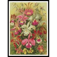 Artecy Cross Stitch Orchids 10153 Cross Stitch Chart Hard Copy