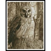 Artecy Cross Stitch Owl Photo Sepia 13579 Cross Stitch Chart Hard Copy