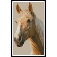 Artecy Cross Stitch Palomino Horse 11966 Cross Stitch Chart Hard Copy