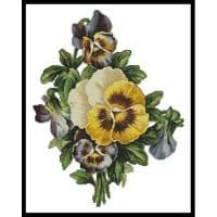 Artecy Cross Stitch Pansies 2 10570 Cross Stitch Chart Hard Copy