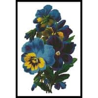 Artecy Cross Stitch Pansies 3 10328 Cross Stitch Chart Hard Copy