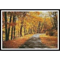 Artecy Cross Stitch Path Through Autumn Trees 11415 Cross Stitch Chart Hard Copy
