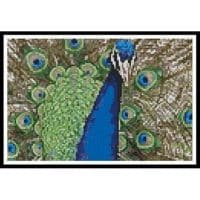 Artecy Cross Stitch Peacock 2 Mini 11593 Cross Stitch Chart Hard Copy
