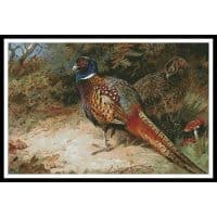 Artecy Cross Stitch Pheasants 10738 Cross Stitch Chart Hard Copy