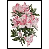 Artecy Cross Stitch Pink Azaleas 10015 Cross Stitch Chart Hard Copy