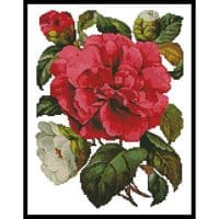 Artecy Cross Stitch Pink Camellia 10037 Cross Stitch Chart Hard Copy