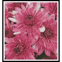 Artecy Cross Stitch Pink Chrysanthemums 10956 Cross Stitch Chart Hard Copy