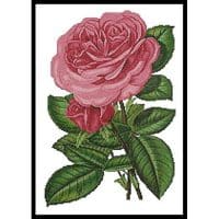 Artecy Cross Stitch Pink Roses Print 10069 Cross Stitch Chart Hard Copy