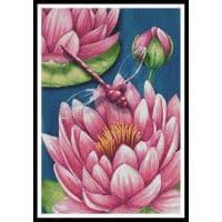 Artecy Cross Stitch Pink Waterlilies 13428 ML Cross Stitch Chart Hard Copy