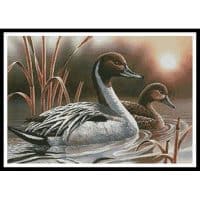 Artecy Cross Stitch Pintails 10591 PFLD Cross Stitch Chart Hard Copy