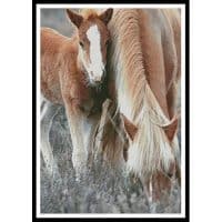 Artecy Cross Stitch Pony and Foal 13694 PMills Cross Stitch Chart Hard Copy