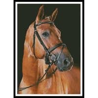 Artecy Cross Stitch Portrait of a Brown Horse 10523 Cross Stitch Chart Hard Copy