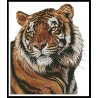 Artecy Cross Stitch Power and Grace No Background 13696 ARTL Cross Stitch Chart Hard Copy