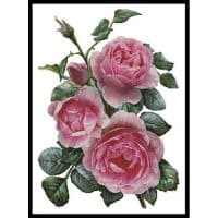 Artecy Cross Stitch Pretty Pink Roses 12186 ARTL Cross Stitch Chart Hard Copy